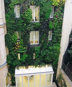 Những vườn rau đô thị xanh mát mắt ở Paris